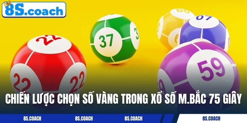 Chiến lược chọn số vàng trong Xổ số M.BẮC 75 giây