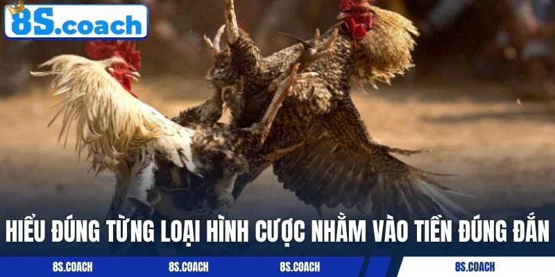 Hiểu đúng từng loại hình cược nhằm vào tiền đúng đắn