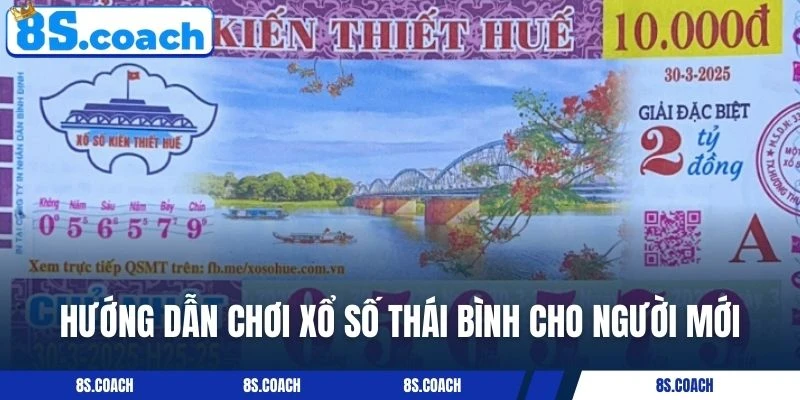 Hướng dẫn chơi xổ số Thái Bình cho người mới