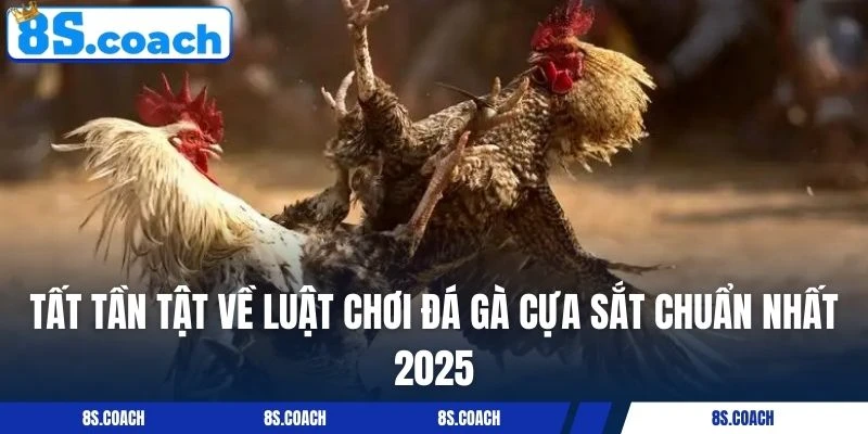 Tất tần tật về luật chơi đá gà cựa sắt chuẩn nhất 2025