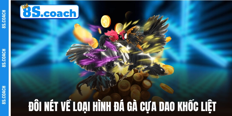 Đôi nét về loại hình đá gà cựa dao khốc liệt