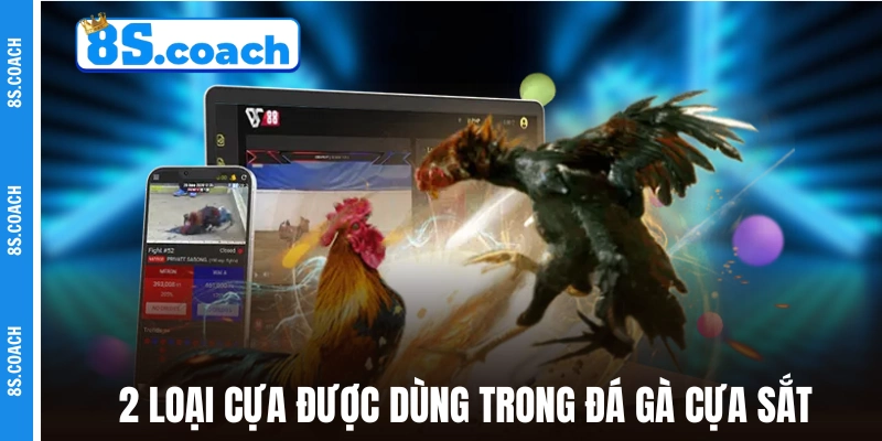 2 loại cựa được dùng trong đá gà cựa sắt