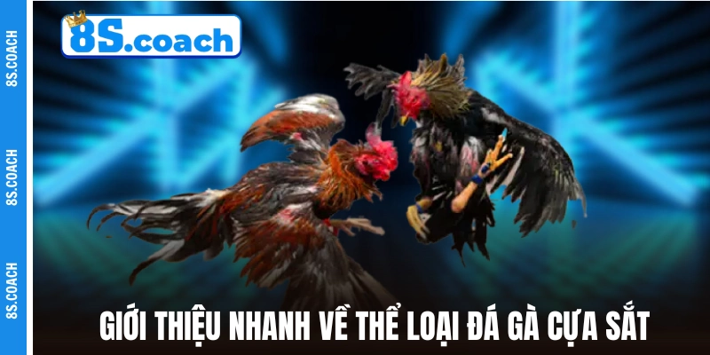 Giới thiệu nhanh về thể loại đá gà cựa sắt
