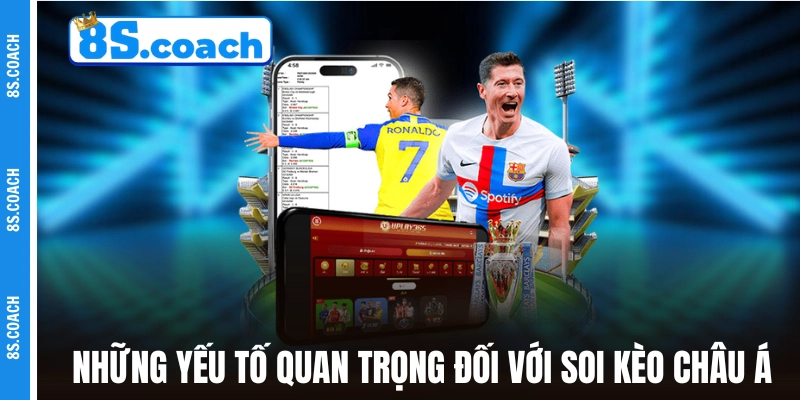 Những yếu tố quan trọng đối với soi kèo châu Á 