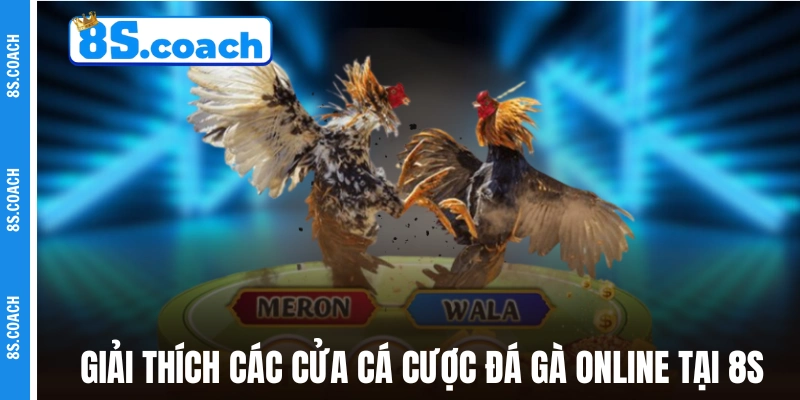 Giải thích các cửa cá cược đá gà online tại 8S