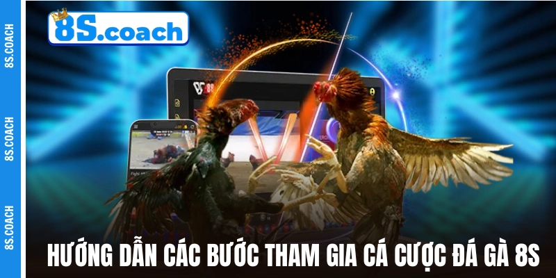 Hướng dẫn các bước tham gia cá cược đá gà 8S