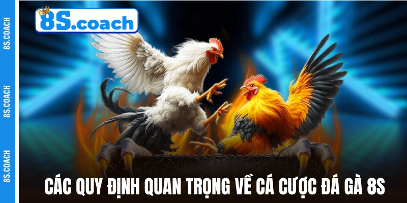 Các quy định quan trọng về cá cược đá gà online 8S