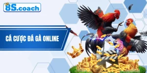 Cá Cược Đá Gà Online - Hướng Dẫn Cơ Bản Dành Cho “Lính Mới”