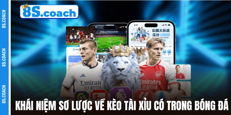 Khái niệm sơ lược về kèo tài xỉu có trong bóng đá